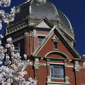Dome in spring